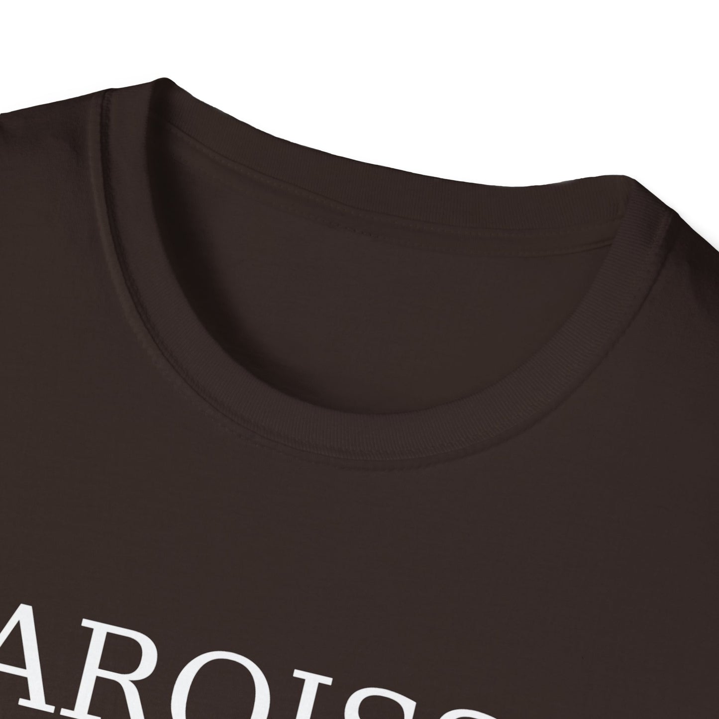 Paroisse Softstyle Tee — Unisex Everyday T-Shirt